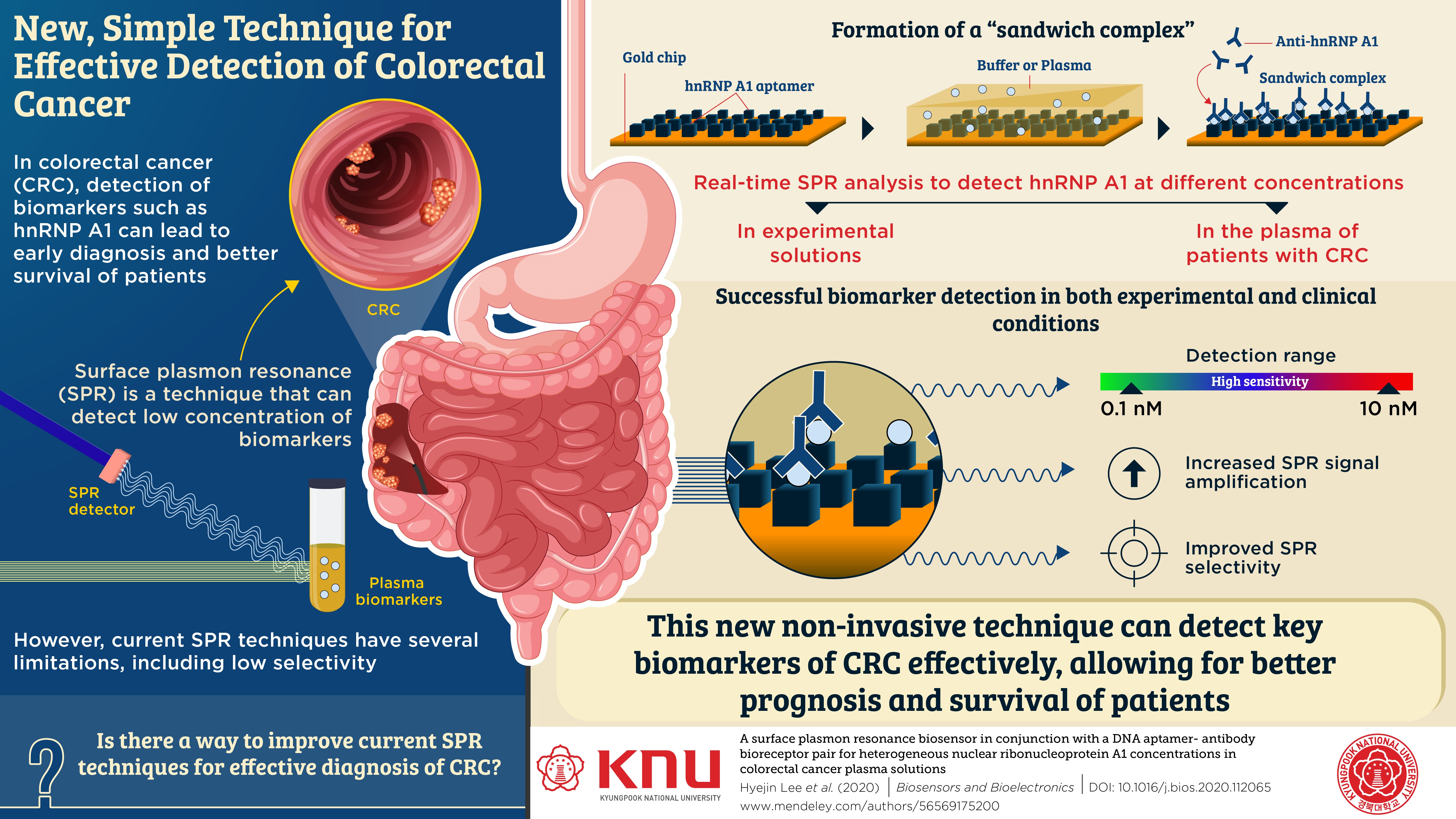 Nip it in the Bud: New, Simple Diagnostic Tool for Effective Detection of Colorectal Cancer