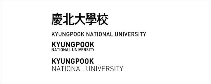 national university logo