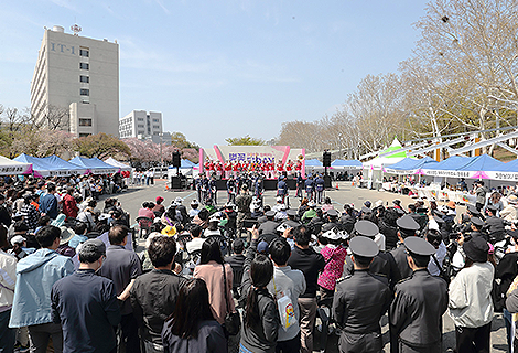 KNU Hosts Successful ‘Cherry Blossom Day’ with Local Residents 관련이미지